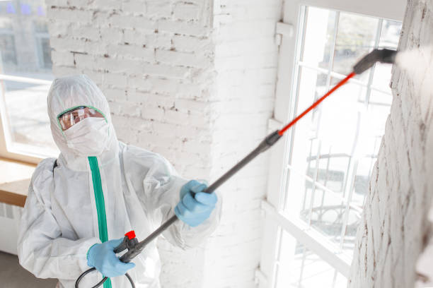 Mold Remediation for Vacation Homes in Big Bend, WI